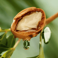 Aceite de argán